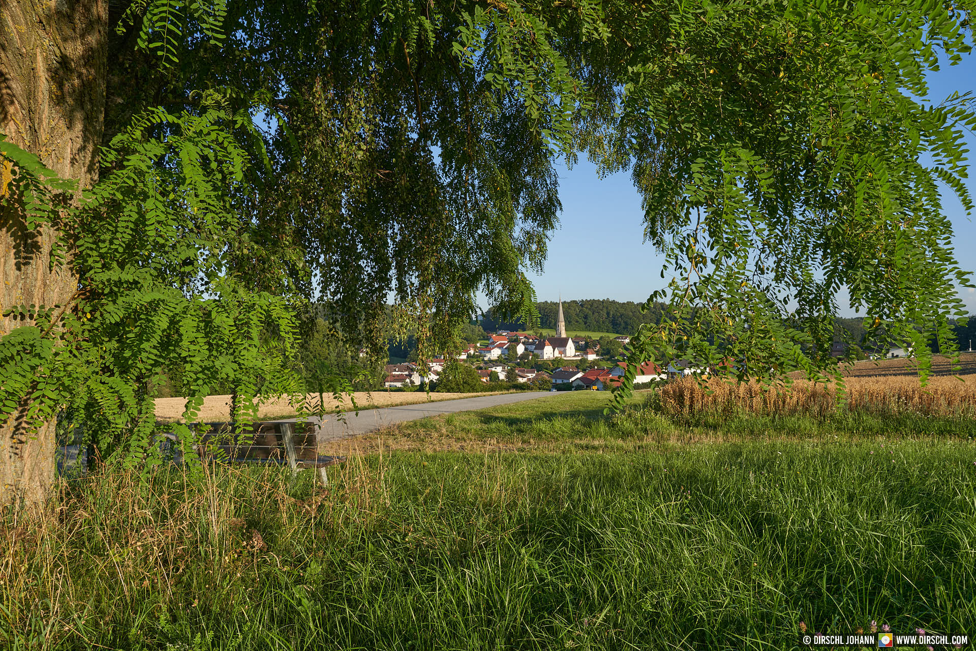 Reut, Rottal-Inn, Deutschland | Foto, Stock, DIRSCHL.com